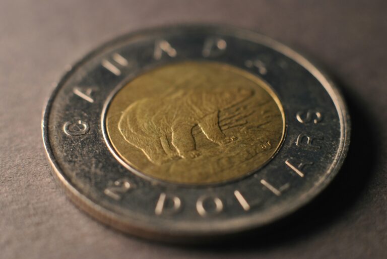 A Canadian @ dollar coin indicating currency